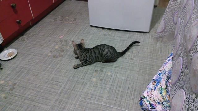 Муля устала смотреть онлайн