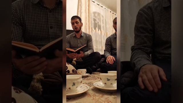 Тулки на Даргинском