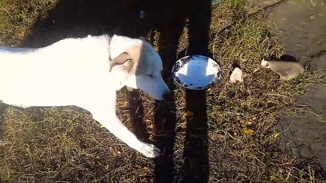 Не трожь мое! смотреть онлайн