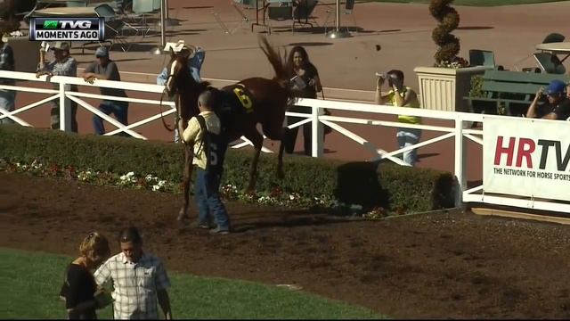 Промах лошади смотреть онлайн