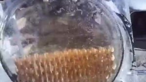 Разобрал электролизер для прочистки.