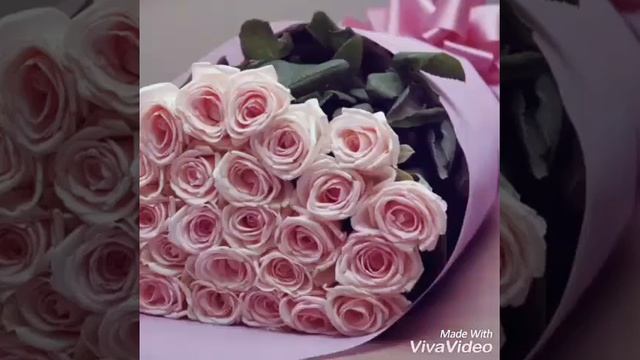 Зулейфа Алирзаева Кьисмет Хьурай. смотреть онлайн