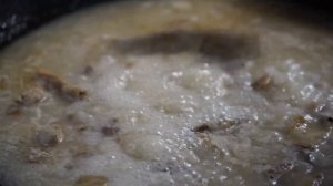 野香菇——长在深山枯木里的“长寿菜”【滇西小哥】