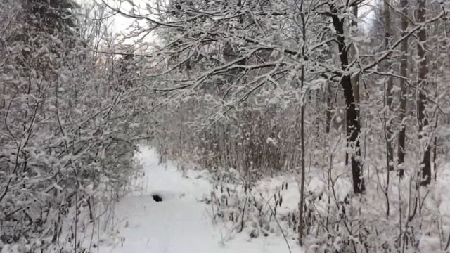 Парк в Новом Петергофе. смотреть онлайн