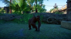 Bornean Orangutan (Female) | Planet Zoo Animals