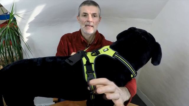 Truelove No Pull Dog Harness Review TLH5651 Includes Uses and Fitting смотреть онлайн