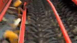 Bourgoin B 610 уборка кукурузы