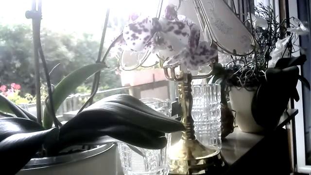 Как завести полезную привычку? Только через удовольствие! БОРОТЬСЯ  с плохими БЕСПОЛЕЗНО! смотреть онлайн