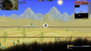 Гайд как победить пустынного бича в каламити на мастере в режиме смерть за все классы #2