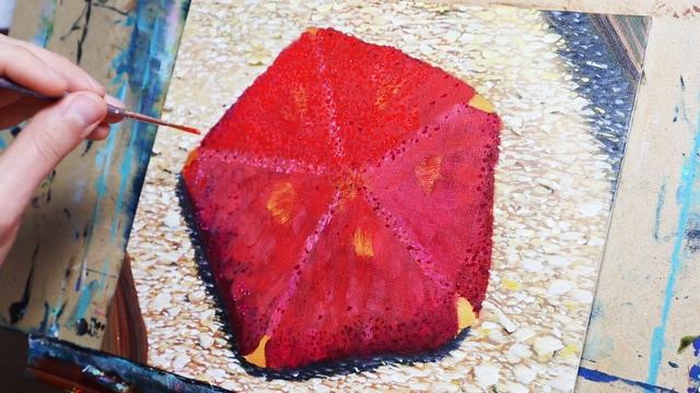 Pin Cushion Sea Star - Start as a star end as a ball - Nature Meets Paper