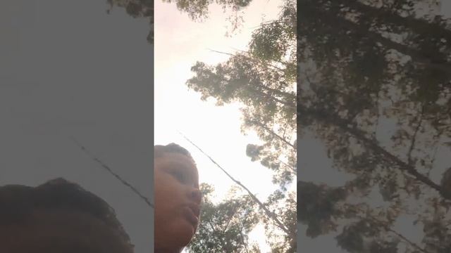 exploração em família com Caio Henrique... смотреть онлайн