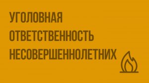 Уголовная ответственность несовершеннолетних. Видеоурок по ОБЖ 10 класс