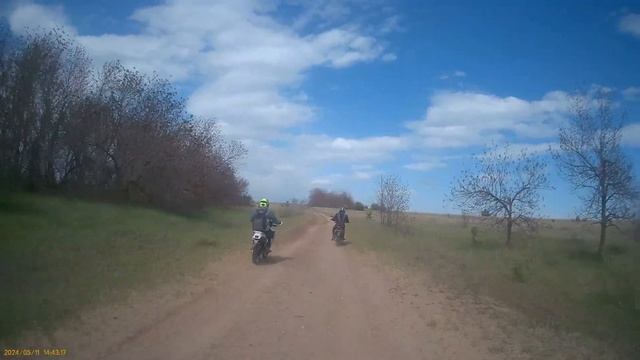 объехали табун лошадей в начале их видно