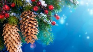 С Новым Годом!!!