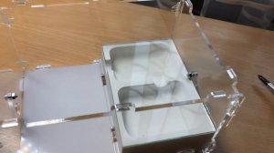 ODONTOMACHUS HASTATUS // MOVEMENT OF EXOTIC ANTS // 7