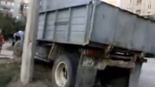 Собака достаёт палку из грузовика