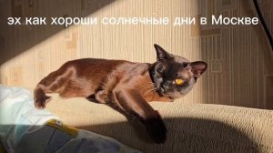 скоро кое-что выйдет 😁