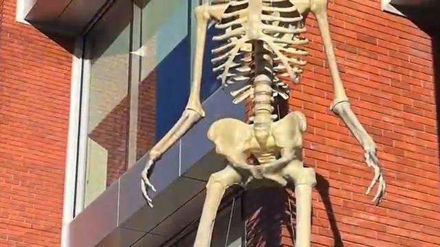 Тупик смотреть онлайн