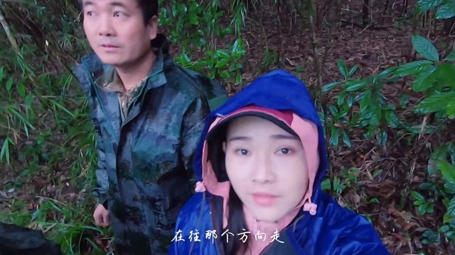 云南高黎贡山有一群可爱的人守护着中国野外少于150只的天行长臂猿滇西小哥