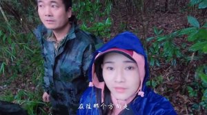 云南高黎贡山有一群可爱的人，守护着中国野外少于150只的天行长臂猿【滇西小哥】