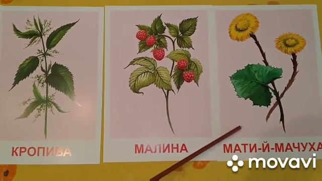 Малятам про лікарські рослини смотреть онлайн