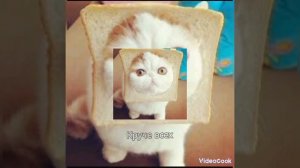 Quest Pistols Show feat. Open kids - Круче всех. Ремикс