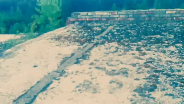 Пошли на пеньку смотреть онлайн