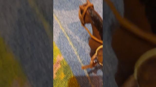 типы лошадей смотреть онлайн