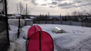 Голуби Свердловские высоколётные.Племенные на 2024г.тел.9122815080.