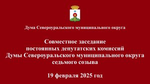 Совместное заседание постоянных депутатских комиссий Думы 19 февраля 2025 года