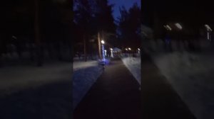 Сосновый парк "Алтай " город Лисаковск