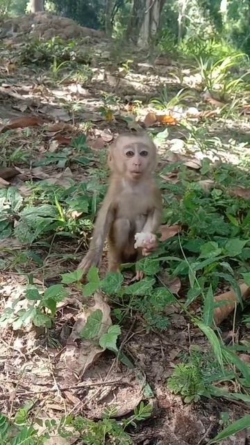 enjoy eating.with Beautiful Amanda baby #shortsclip смотреть онлайн