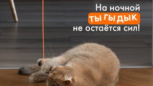 PET FLAT интерактивная игрушка для кошек Magic Bounce