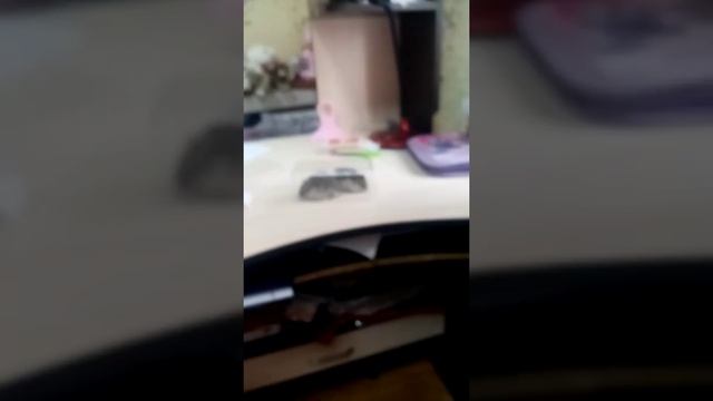 Уборка у хомяков 1 часть смотреть онлайн