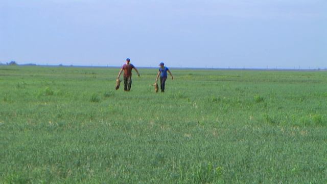 ТИККА Т3х 6.5 / creedmoor / охота на сурка. смотреть онлайн