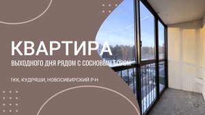 КВАРТИРА выходного дня рядом с сосновым бором! 1ка в Кудряшах, Новосибирский р-н. Продажа. Обзор.