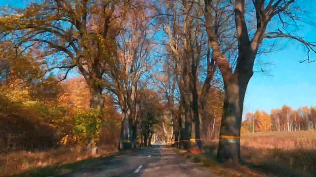 Кёнигсбе́рг, Калининград красоты