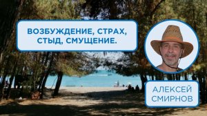 Возбуждение, страх, стыд, смущение | Алексей Смирнов