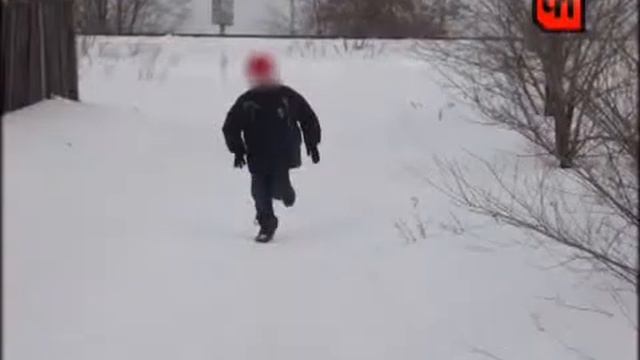 Мать загрызенного мальчика привлекут к ответственности смотреть онлайн