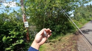 Testing out the Abu Garcia REVO5 SX-HS LP/Bass Fishing