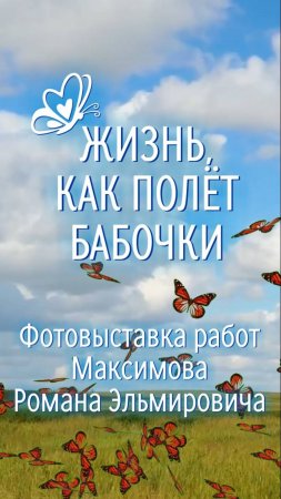 Фотовыставка работ Максимова Романа Эльмировича «Жизнь, как полёт бабочки».