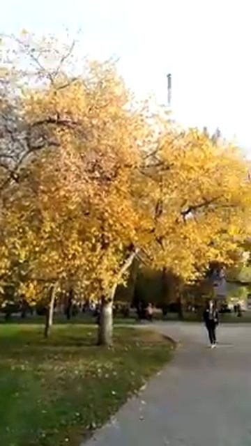 Золото осеннего парка смотреть онлайн