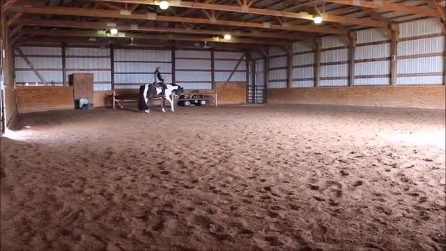 Lonesome and Blue Horsemanship смотреть онлайн