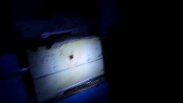 Зимовка пчел смотреть онлайн