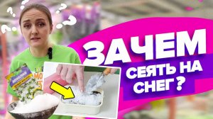 ЗАЧЕМ СЕЯТЬ ЛОБЕЛИЮ НА СНЕГ?