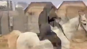 БОЛЬШОЙ СКАКУН