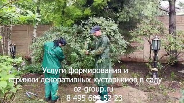 Услуги стрижки и формирования кустарников в саду. Выезд Агрономов по Москве и области. Звоните!