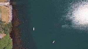 Short DJI Air 2S Mastershot of Aqua Planet Jupiter SUP