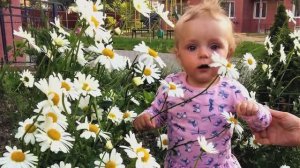 ДОБРАЯ РОМАШКА