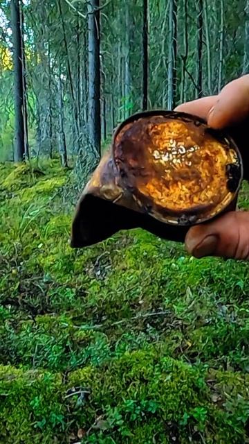 Прогулка в лесу с металлоискателем